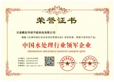 領(lǐng)軍企業(yè)榮譽(yù)證書